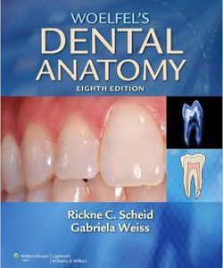 کتاب آناتومی دندان Woelfel