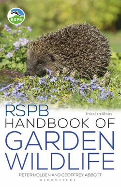 دانلود کتاب RSPB Handbook of Garden Wildlife, 3rd Edition دانلود کتاب RSPB Handbook of Garden Wildlife, 3rd Edition