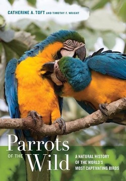 دانلود کتاب Parrots of the Wild: A Natural History of the World’s Most Captivating Birds دانلود کتاب Parrots of the Wild: A Natural History of the World’s Most Captivating Birds