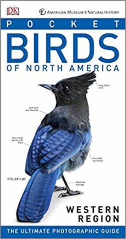 دانلود کتاب American Museum of Natural History: Pocket Birds of North America, Western Region دانلود کتاب American Museum of Natural History: Pocket Birds of North America, Western Region