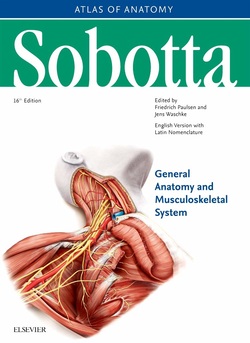 دانلود کتاب Sobotta Atlas of Anatomy, Vol. 1: General Anatomy and Musculoskeletal System, 16th Edition دانلود کتاب Sobotta Atlas of Anatomy, Vol. 1: General Anatomy and Musculoskeletal System, 16th Edition