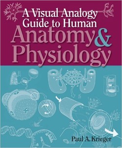 دانلود کتاب A Visual Analogy Guide to Human Anatomy & Physiology دانلود کتاب A Visual Analogy Guide to Human Anatomy & Physiology