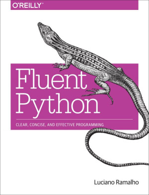 دانلود کتاب Python Fluent: برنامه نویسی شفاف ، مختصر و مؤثر
